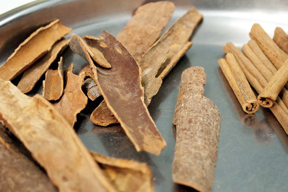 Cannelle cassia du Kerala – bio et sauvage - Image 3