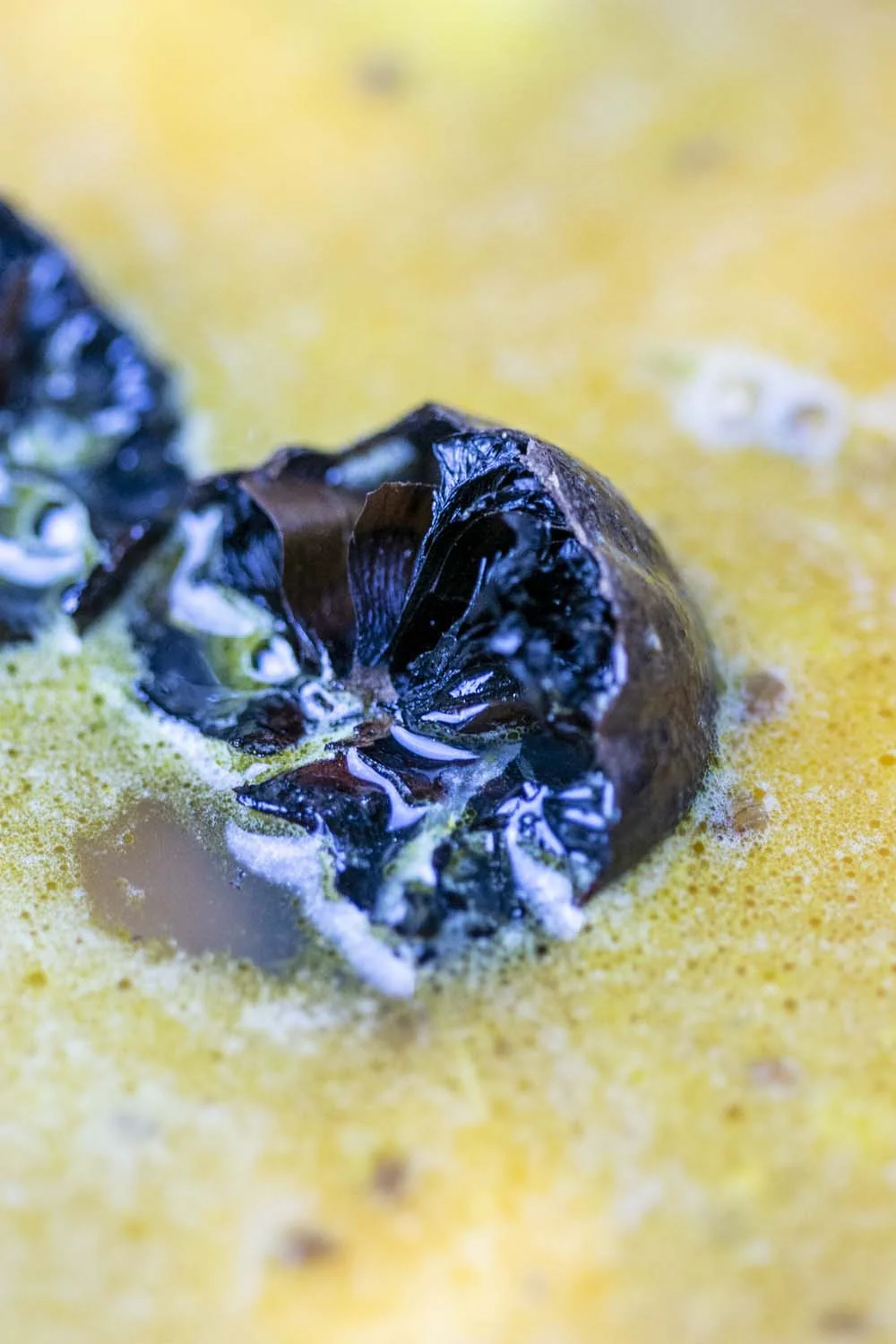 Citron noir d’Iran - Image 5