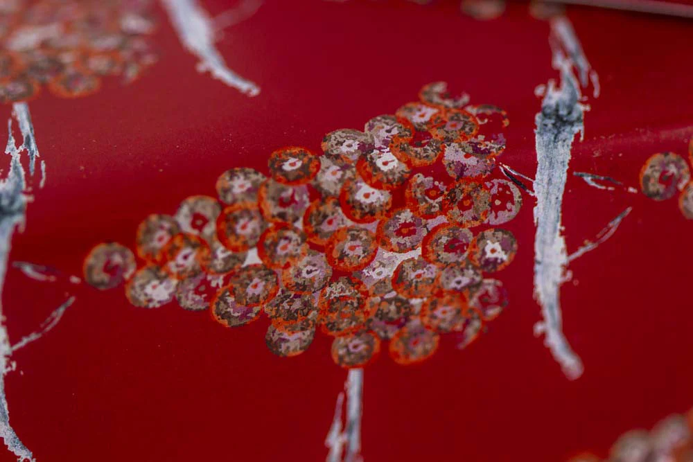 Kit - Le sumac, dix façons de le préparer - Image 5