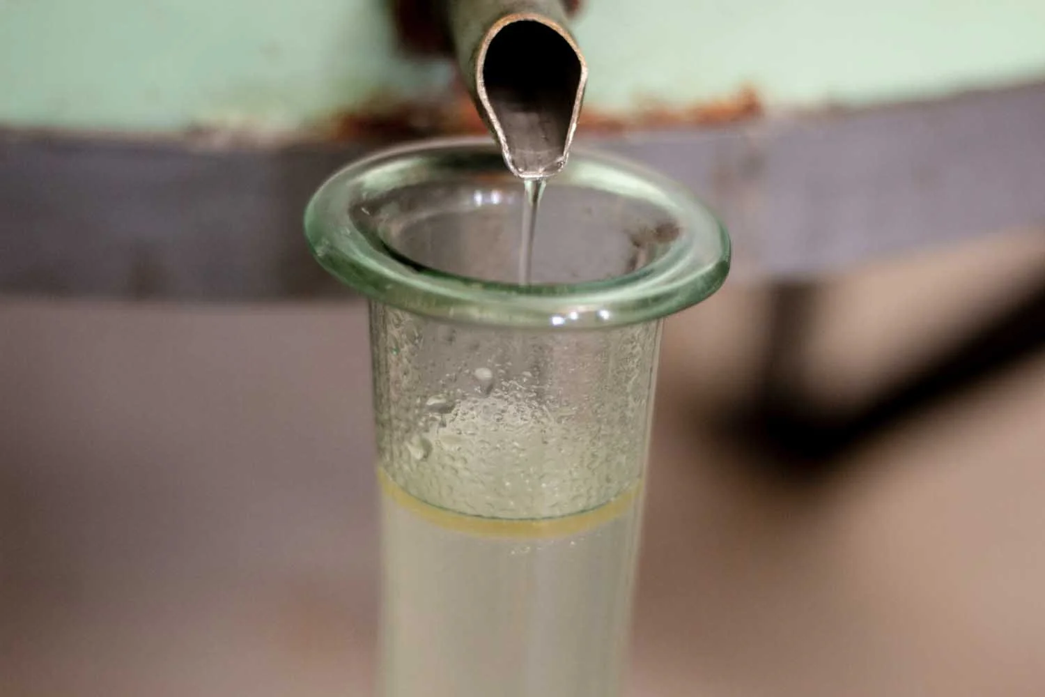 Eau de fleur d’oranger de Ligurie - Image 10