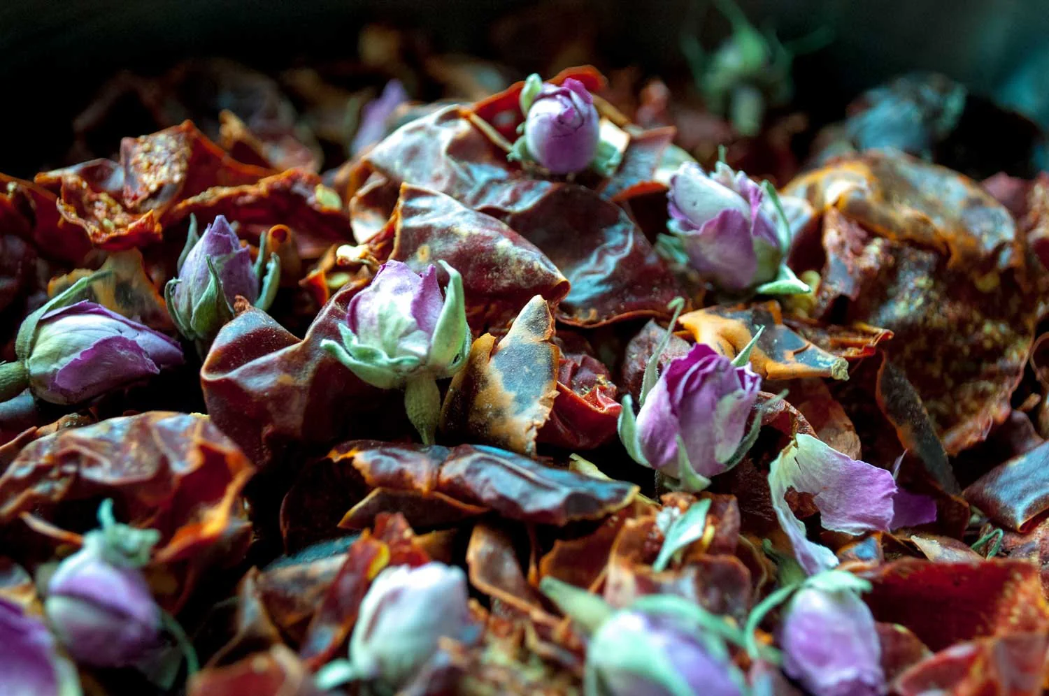 Harissa sèche à la rose d’Ispahan - bio - Image 3