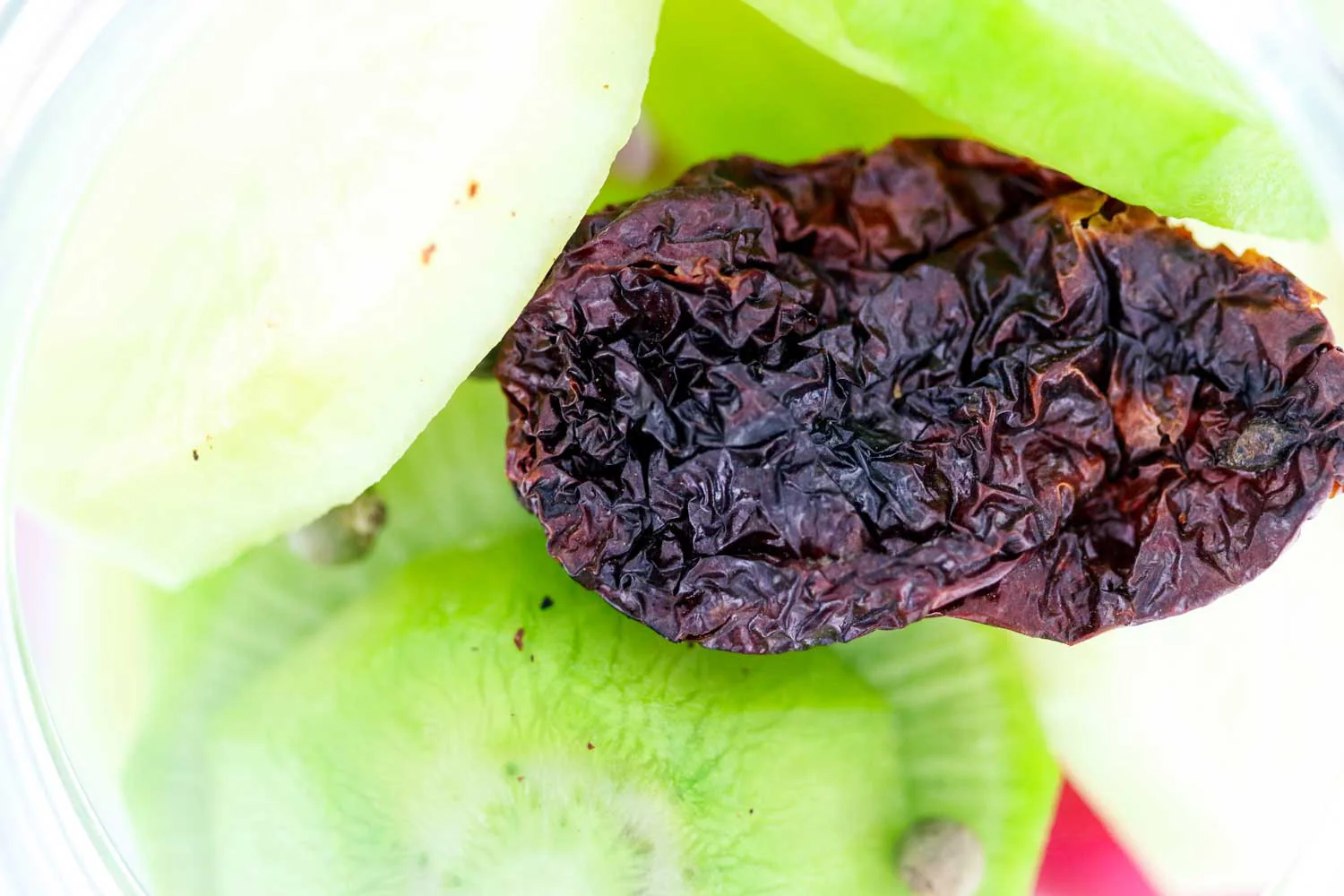 Piment bhut jolokia d’Assam - Image 3