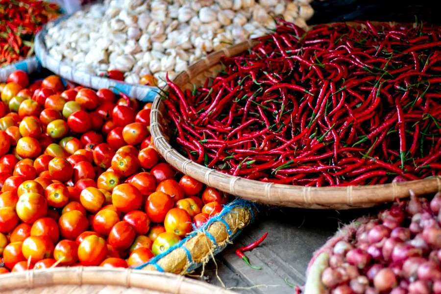 Piment cabe keriting de Java - Image 5