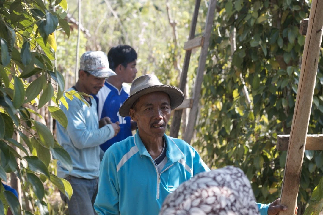 Poivre noir de Sulawesi – bio - Image 8