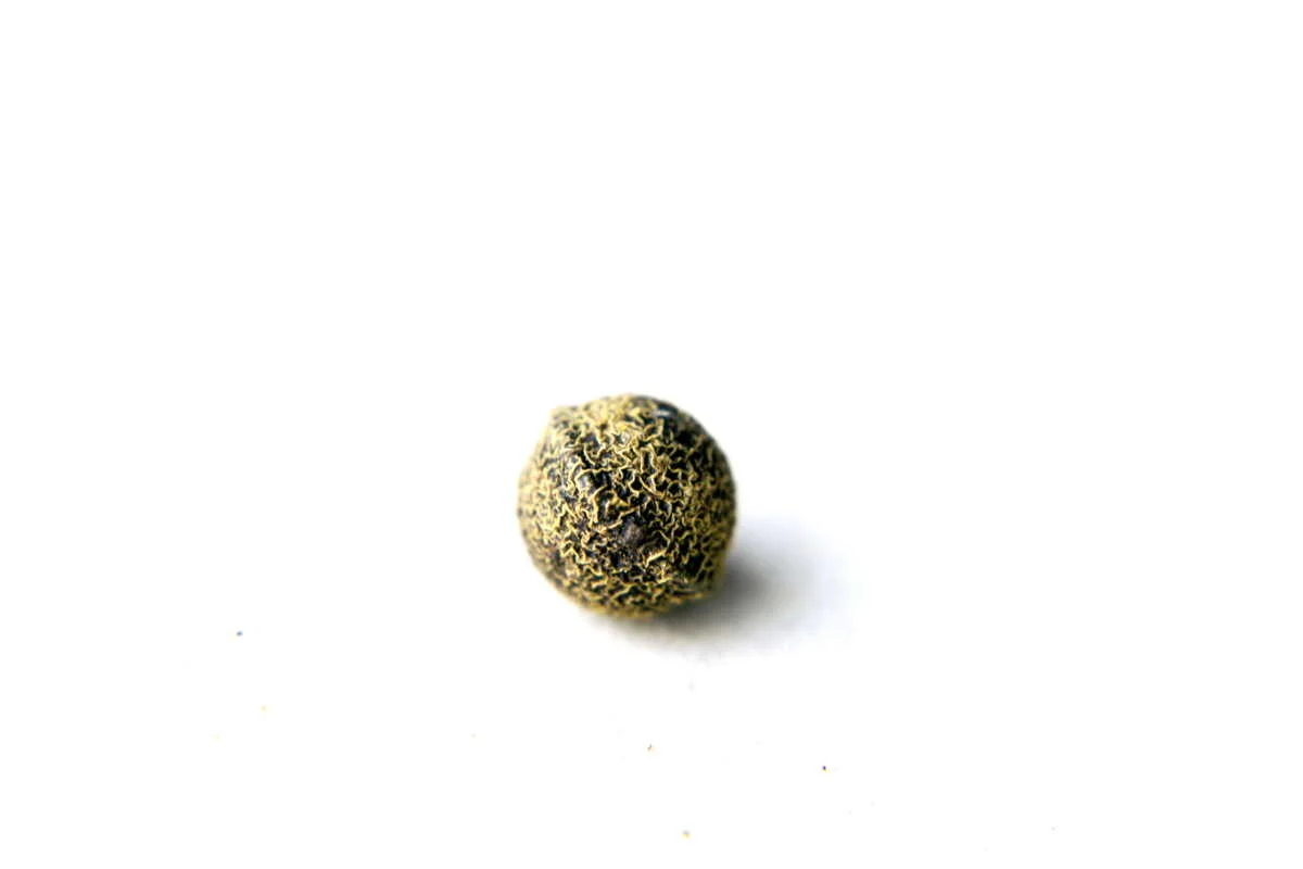 Miniature 1